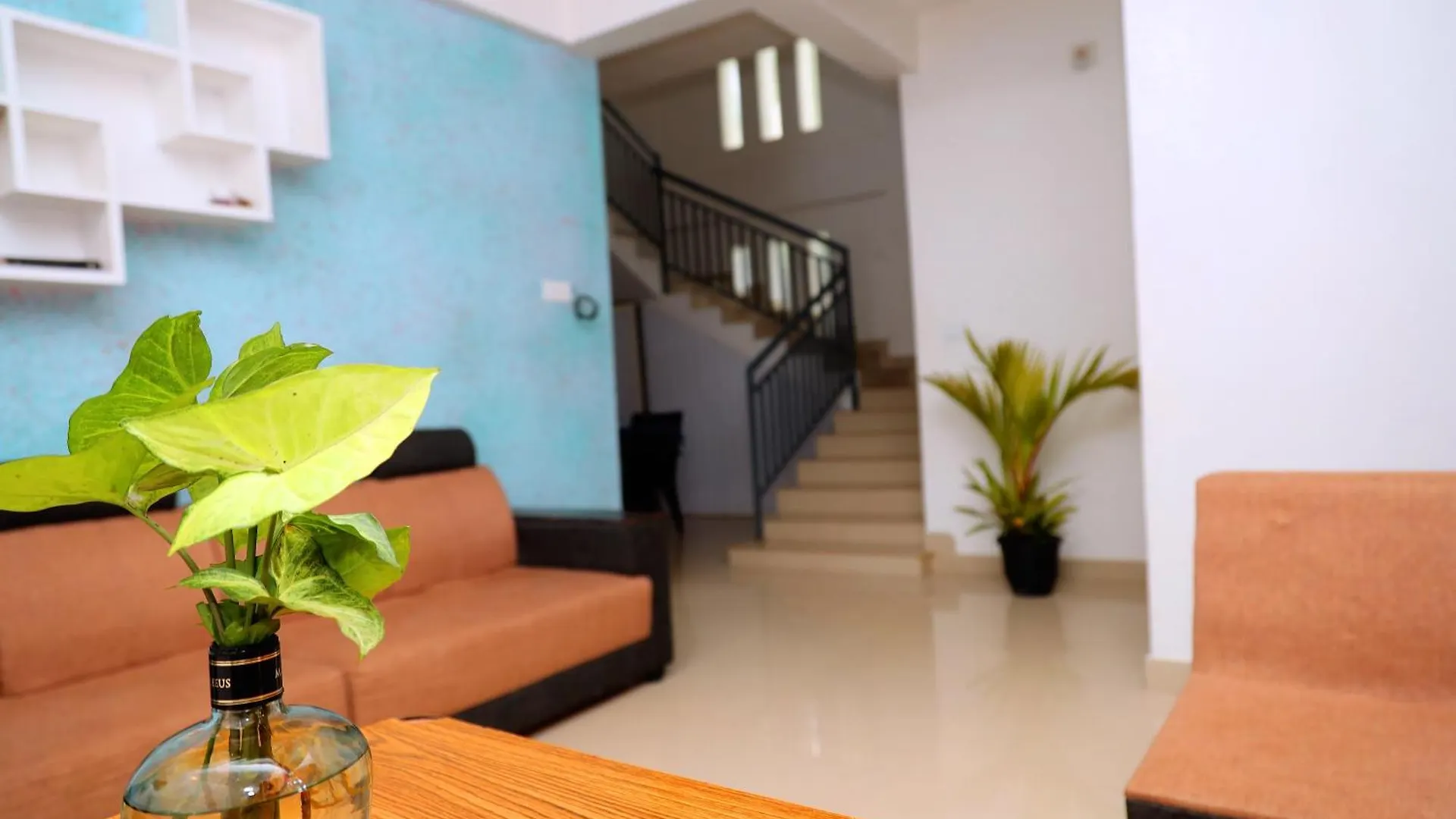 Tea Haze Cottage In Munnar 0*,  Indie