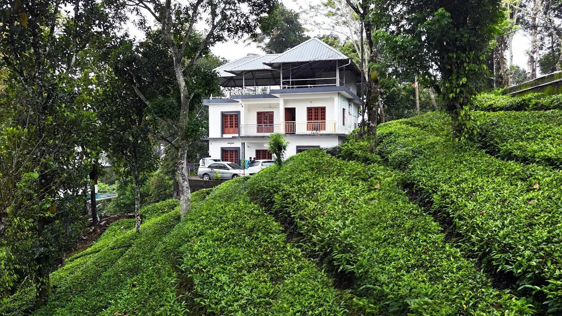 Tea Haze Cottage In Munnar